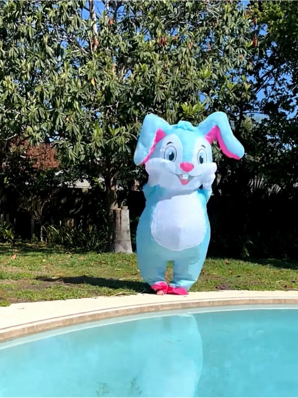 Inflatable blue bunny costume